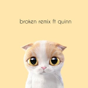 broken remix ft quinn
