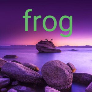 🐸 