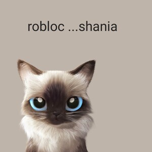 robloc