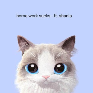 homework sucks..shania
