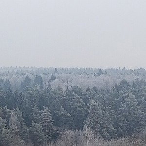 Это не Нью-Йорк 