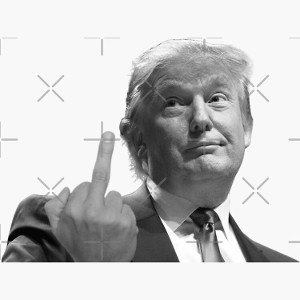 Trump rex flex