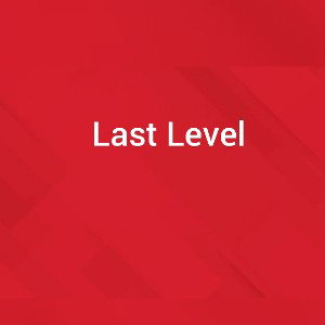 Last Level 