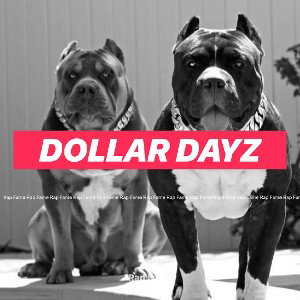 Dollar dayz