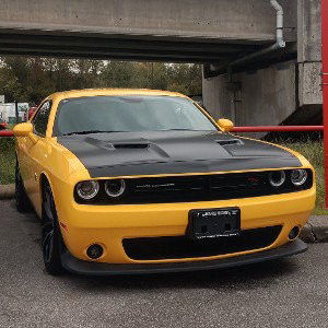 Bumble Bee Entertainment
