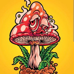 Shrooms Freestyle 