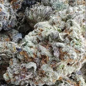 Let's Get High Freestyle 
