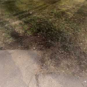 не скучайте фанаты мы скоро вернемся