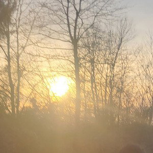 Befor sunset  R.I.P