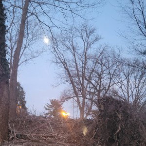 Night falls on your ass