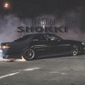 shokki - Траблы