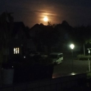 Weg von hier