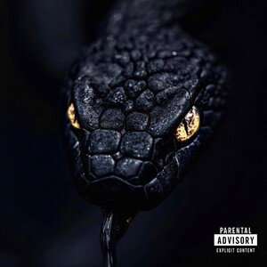 Snake Skin 