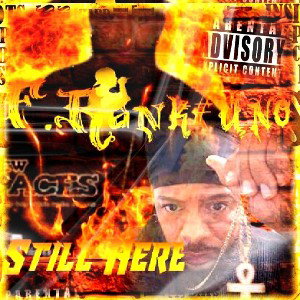 I'm Still Here 