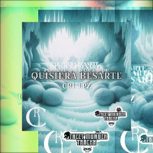 QUISIERA BESARTE