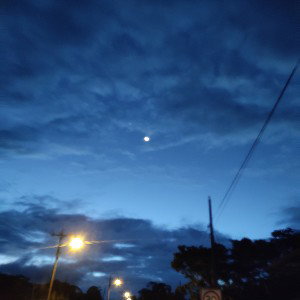 ALONE ( #Solo ) 