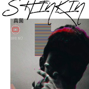 FREESTYLE #2 ~SHINKIN