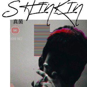 FREESTYLE #3 ~SHINKIN 
