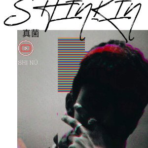 FRESTYLE#1 =SHINKIN