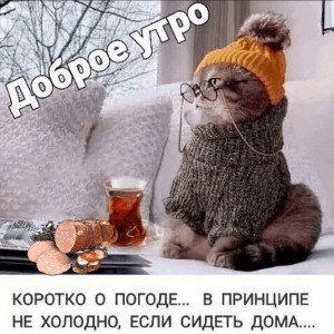 утром холодным новая версия 