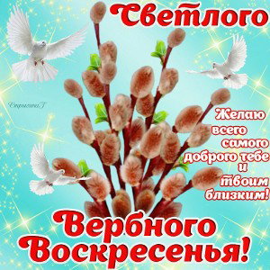 #без_нервов