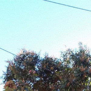 un respiro 