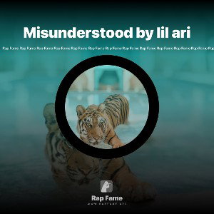 Misunderstood by lil ari 