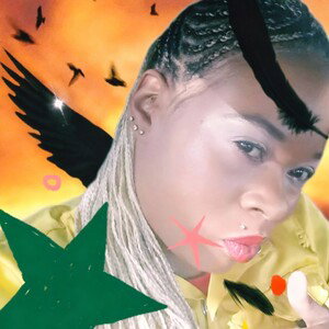 ROOKIES ELEVATION HIGHER LEVEL: STARFIRE INTELLECTUAL EXQUISITED