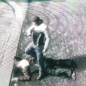 GTA Los Santos 