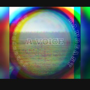 JohnnyBIONIC ft. RAWBEAST - a VOICE