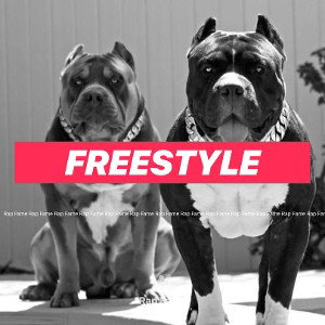 Freestyle 