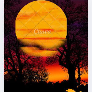 Sunset show the way 
