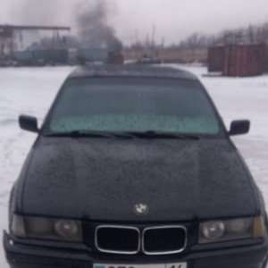 царевна лягушка 