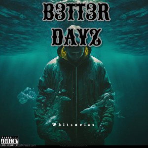whit3noize - B3TT3R DAYZ 