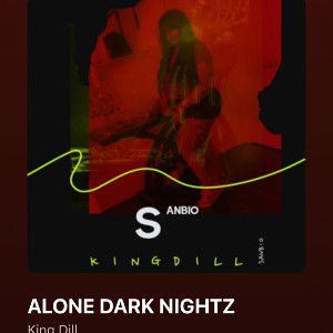 ALONE  DARK NIGHTZ