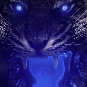 PRENDO🐯