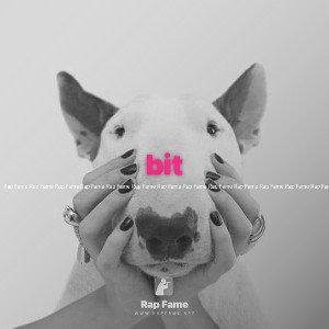 bit