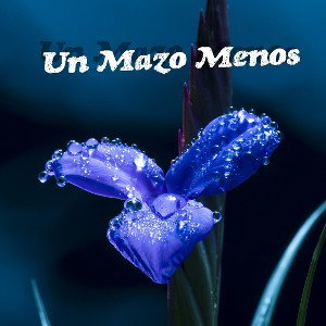 Un Mazo Menos