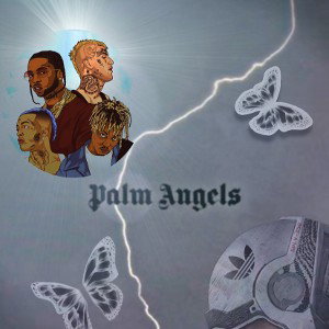 PalmAngel 4/9 