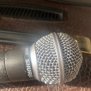 Shure thang dolphin boy 