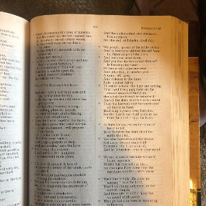 JER 51:36-53