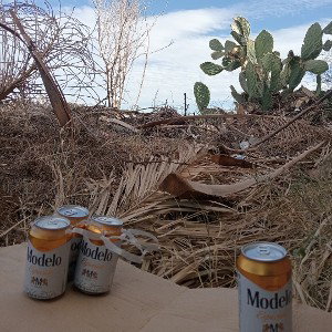 nopal 