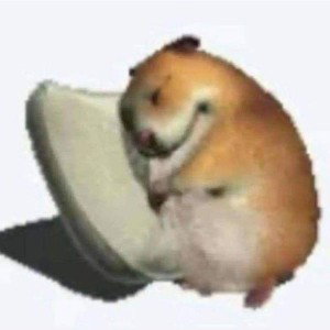 NØÖN