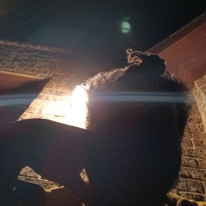 Light_Work