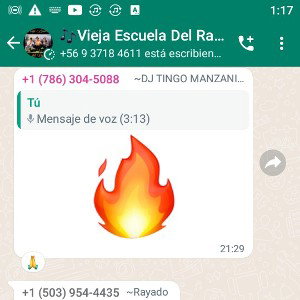 Freestyle Mror