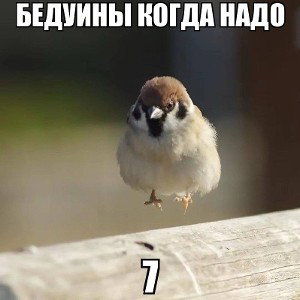 БЛЯЯЯЯ