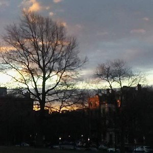 New Dawn