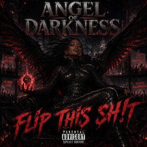 FLIP THIS SH!T- Angel Of Darkness