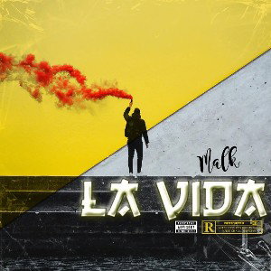 la vida vibes