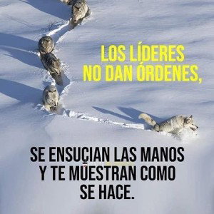 previa de los más odiados 4